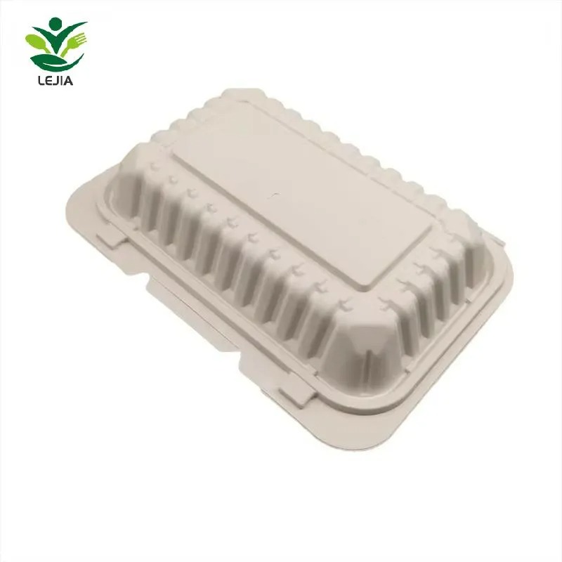 Friendly Biodegradable Takeaway Lunch Box 9*6 Inch Disposable Food ...