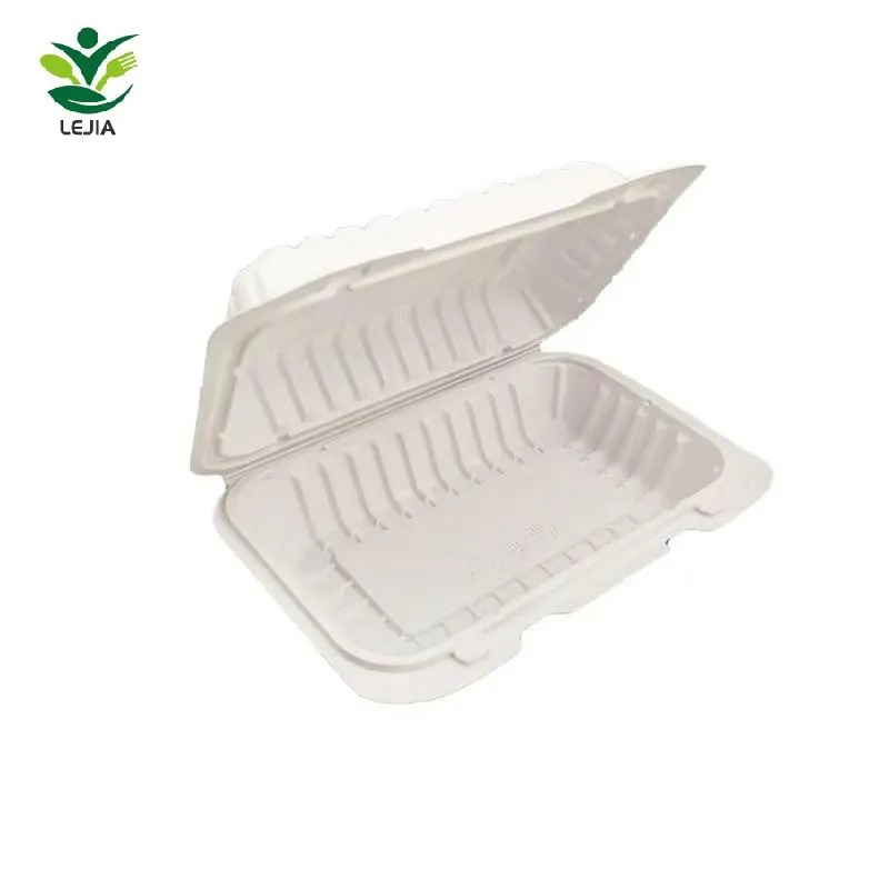 Friendly Biodegradable Takeaway Lunch Box 9*6 Inch Disposable Food ...